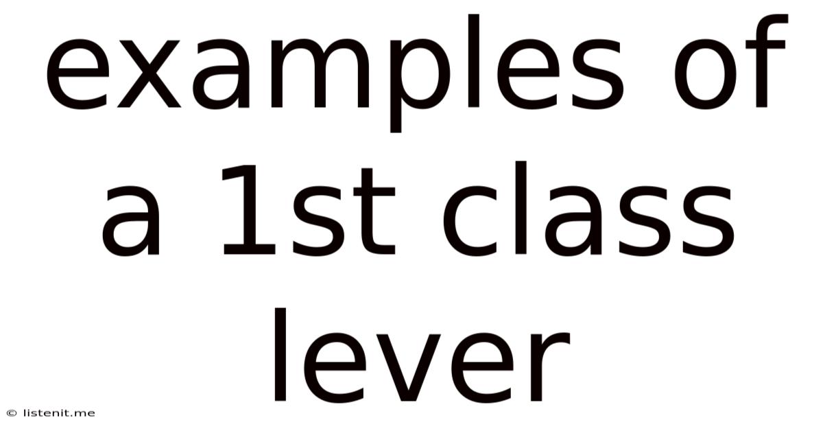 Examples Of A 1st Class Lever