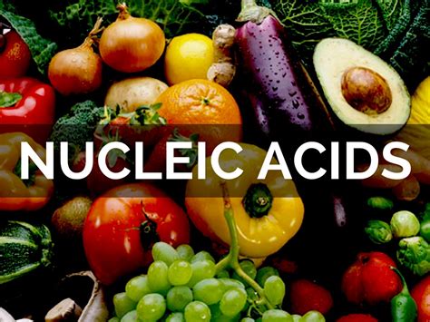 Examples Of Nucleic Acids In Food