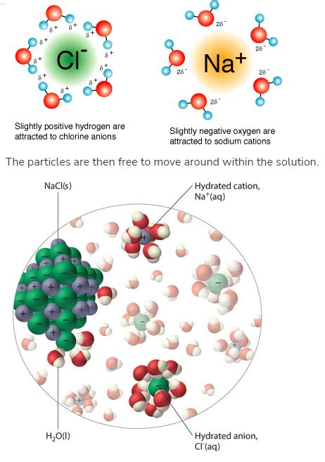 Explain How Ionic Compounds Dissolve In Water