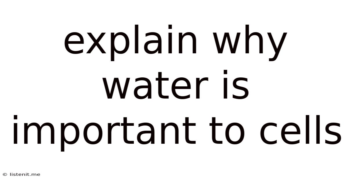 Explain Why Water Is Important To Cells