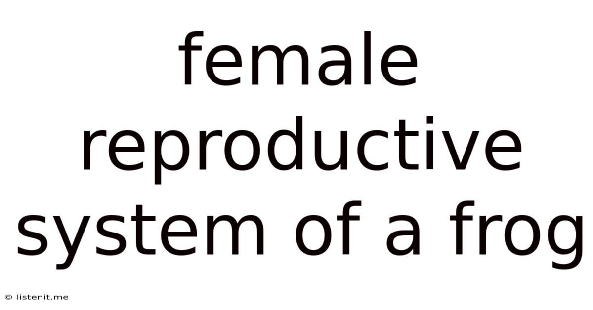 Female Reproductive System Of A Frog
