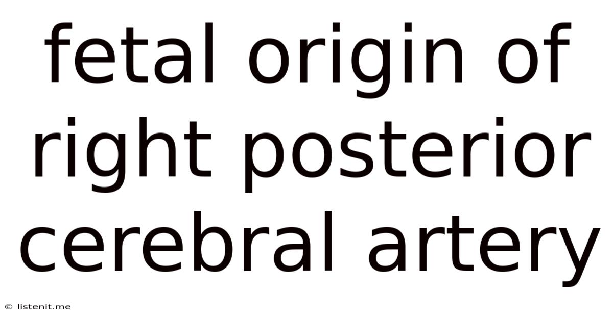 Fetal Origin Of Right Posterior Cerebral Artery