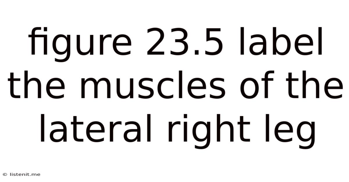 Figure 23.5 Label The Muscles Of The Lateral Right Leg