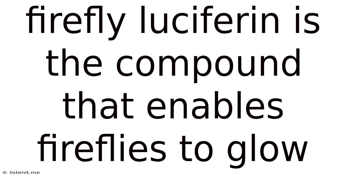 Firefly Luciferin Is The Compound That Enables Fireflies To Glow