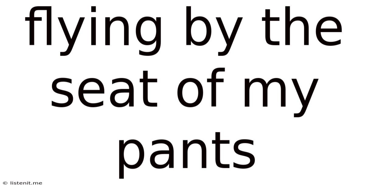 Flying By The Seat Of My Pants
