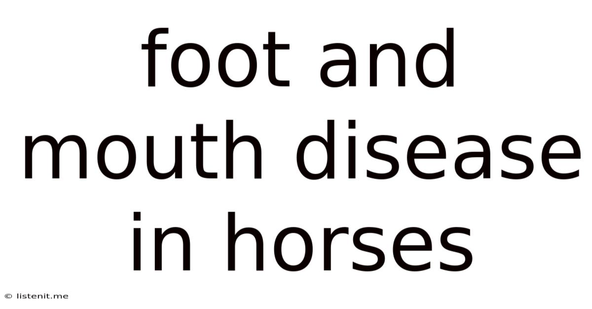 Foot And Mouth Disease In Horses