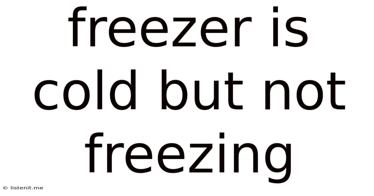 Freezer Is Cold But Not Freezing