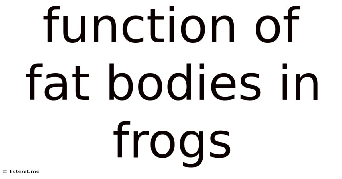 Function Of Fat Bodies In Frogs