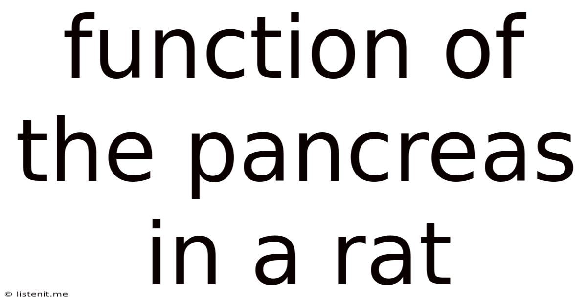 Function Of The Pancreas In A Rat