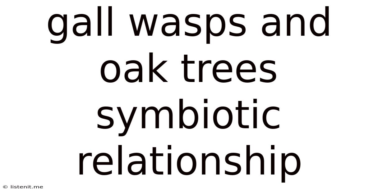 Gall Wasps And Oak Trees Symbiotic Relationship
