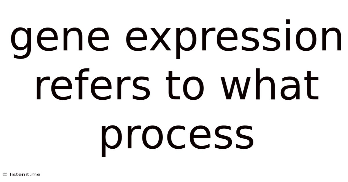 Gene Expression Refers To What Process