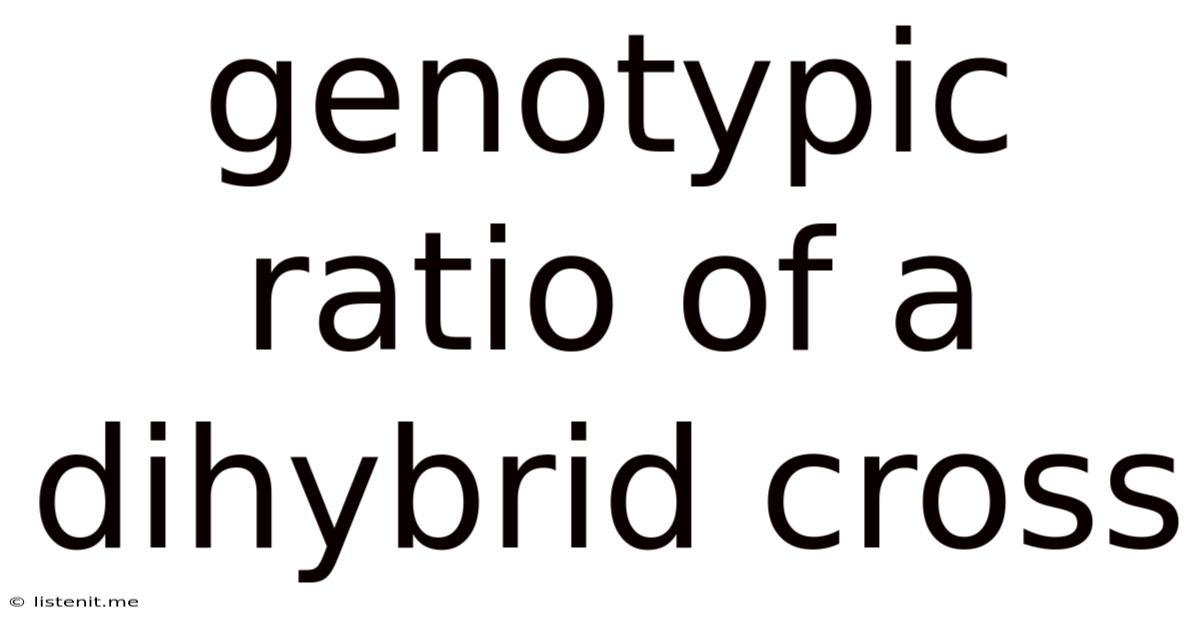 Genotypic Ratio Of A Dihybrid Cross