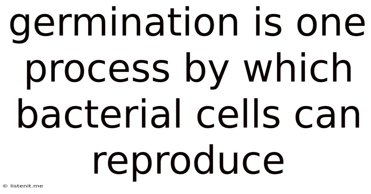 Germination Is One Process By Which Bacterial Cells Can Reproduce
