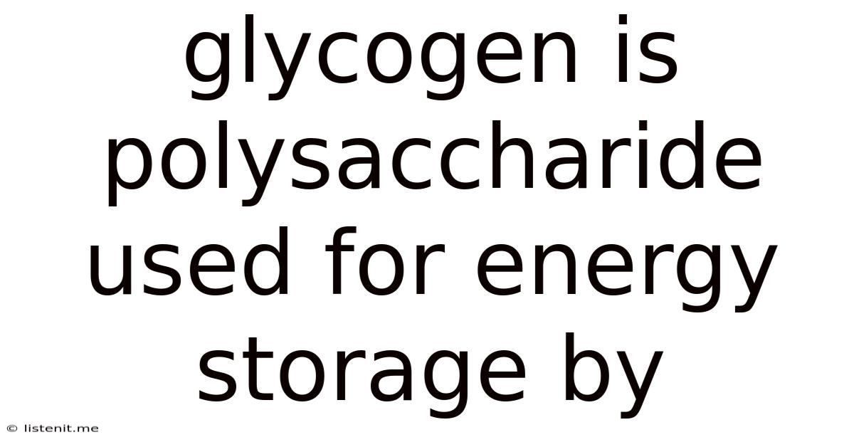 Glycogen Is Polysaccharide Used For Energy Storage By