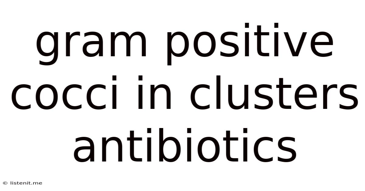 Gram Positive Cocci In Clusters Antibiotics