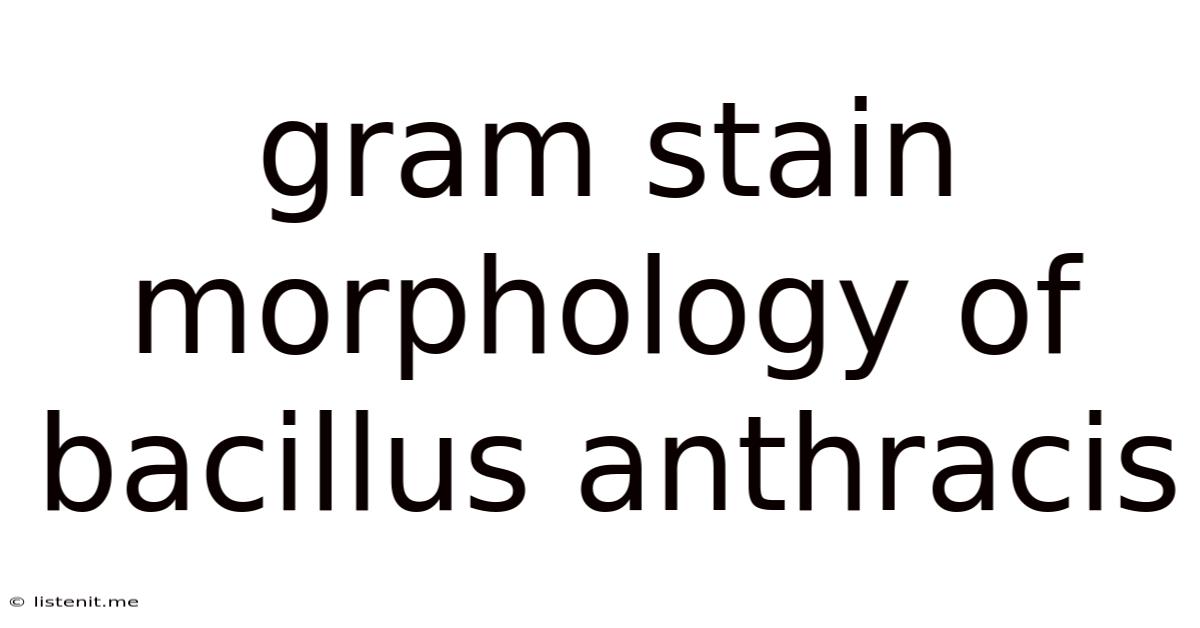 Gram Stain Morphology Of Bacillus Anthracis