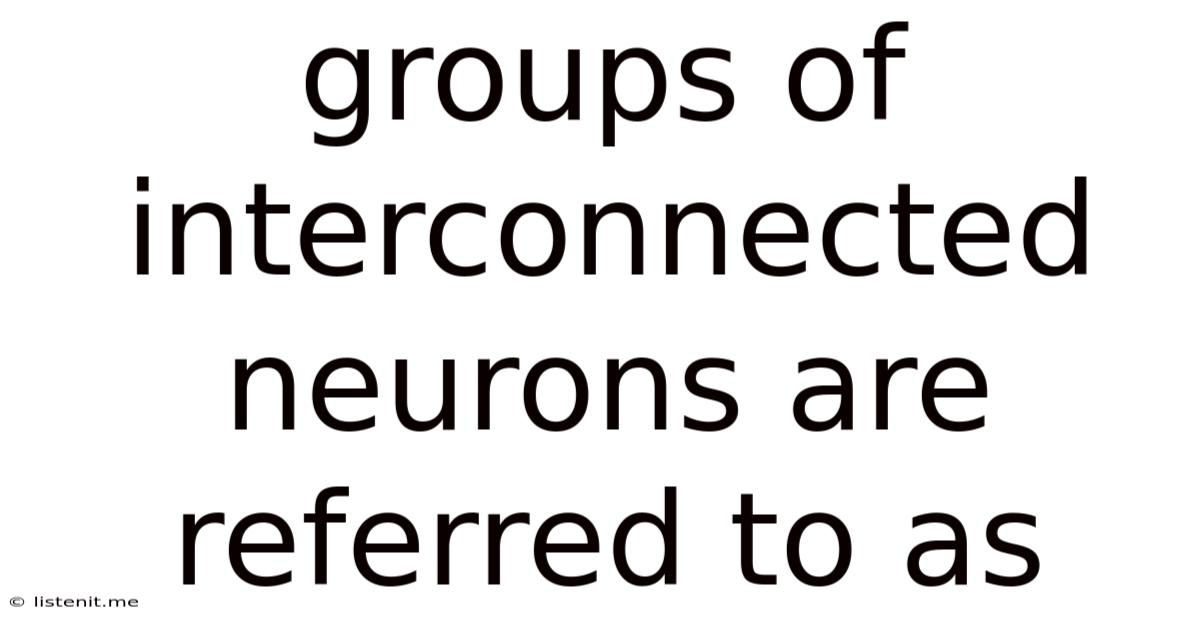 Groups Of Interconnected Neurons Are Referred To As