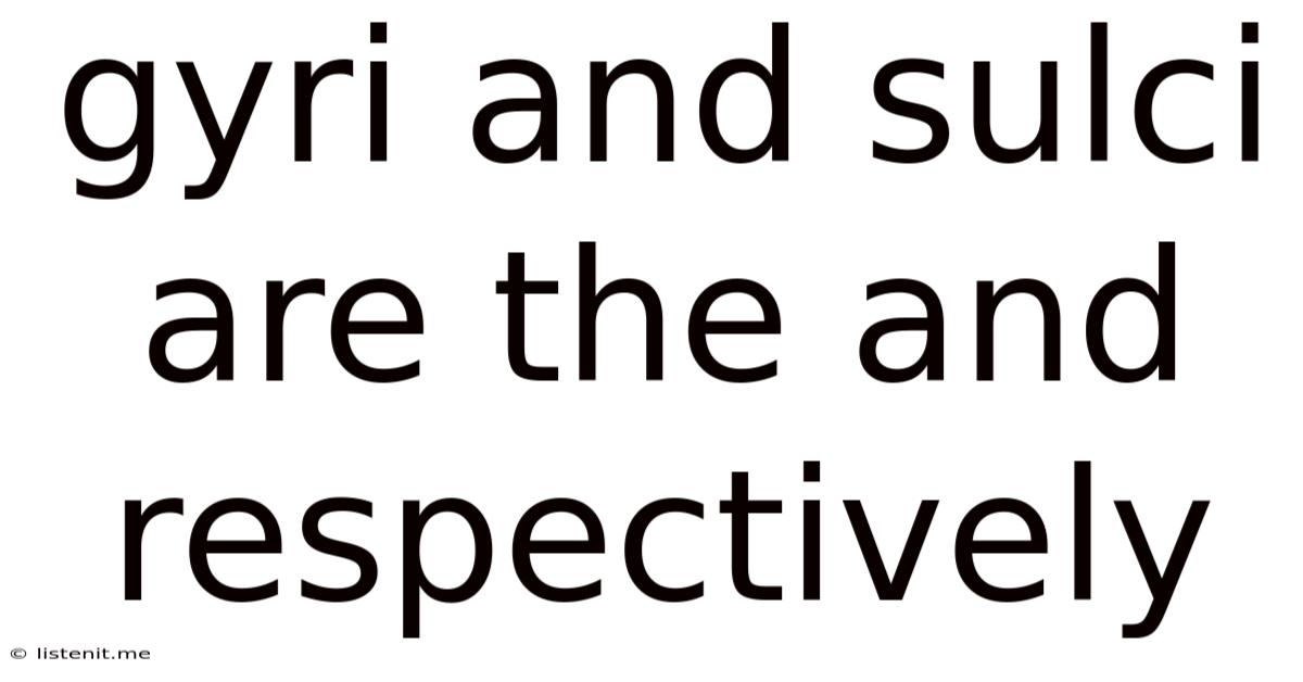 Gyri And Sulci Are The And Respectively