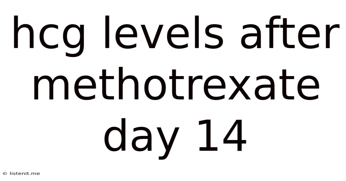 Hcg Levels After Methotrexate Day 14