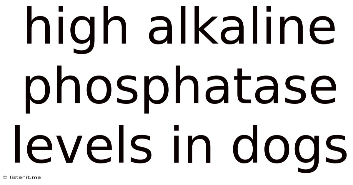 High Alkaline Phosphatase Levels In Dogs
