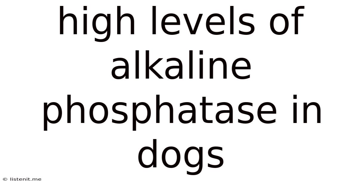 High Levels Of Alkaline Phosphatase In Dogs