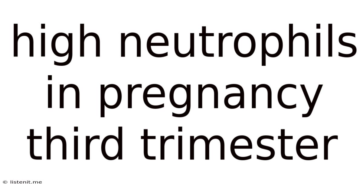 High Neutrophils In Pregnancy Third Trimester