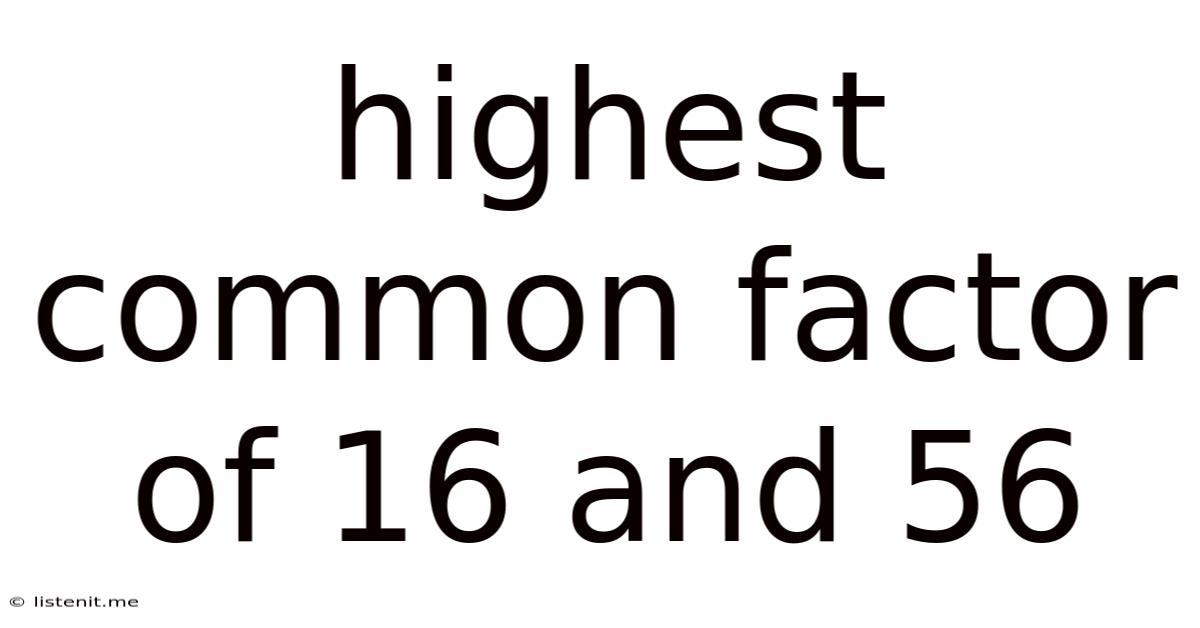 Highest Common Factor Of 16 And 56