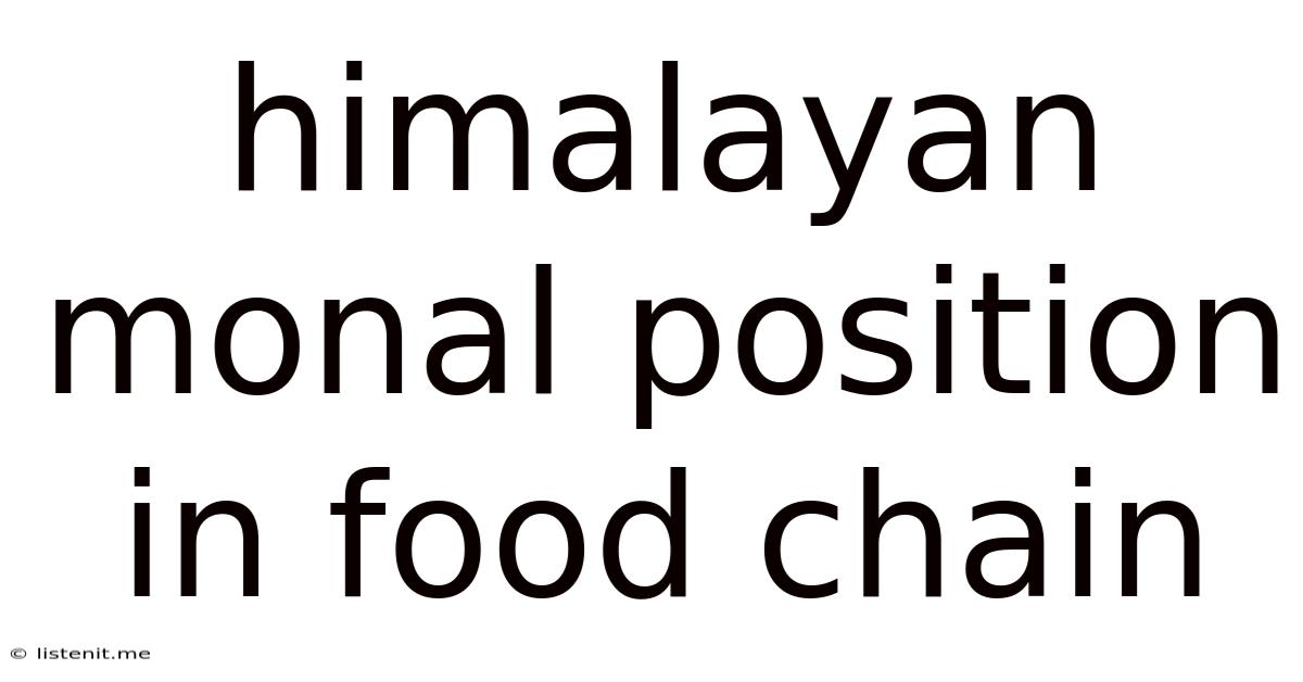 Himalayan Monal Position In Food Chain