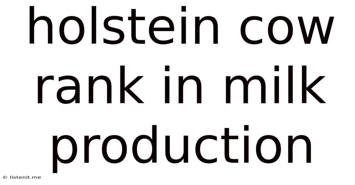 Holstein Cow Rank In Milk Production