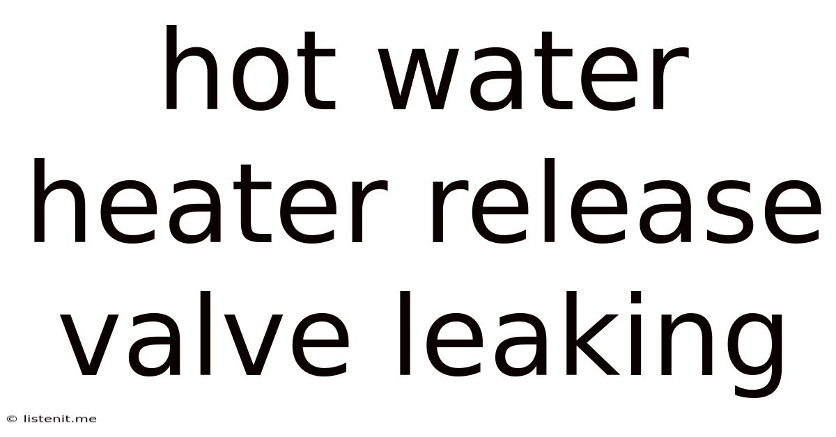Hot Water Heater Release Valve Leaking