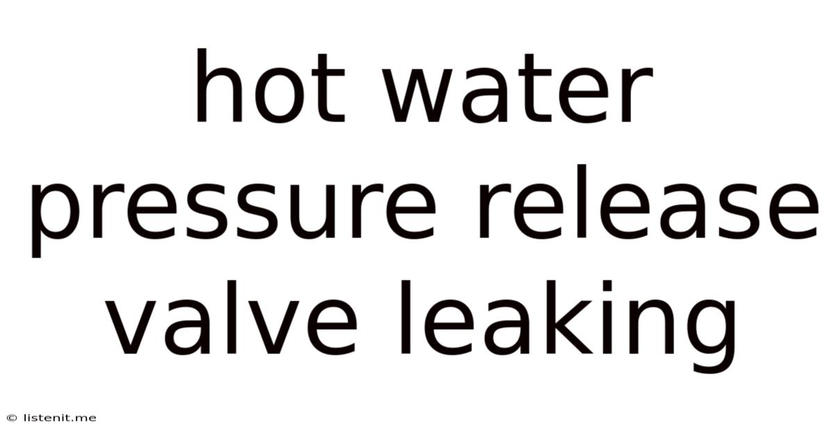 Hot Water Pressure Release Valve Leaking