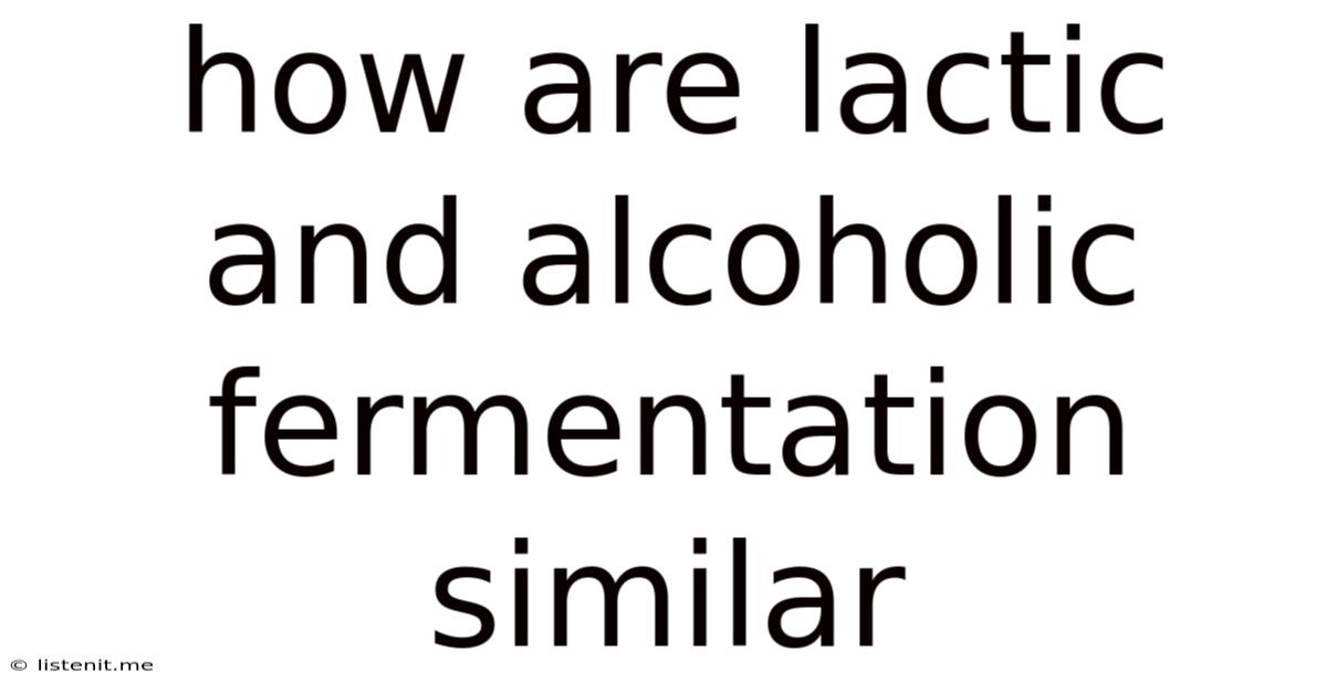 How Are Lactic And Alcoholic Fermentation Similar