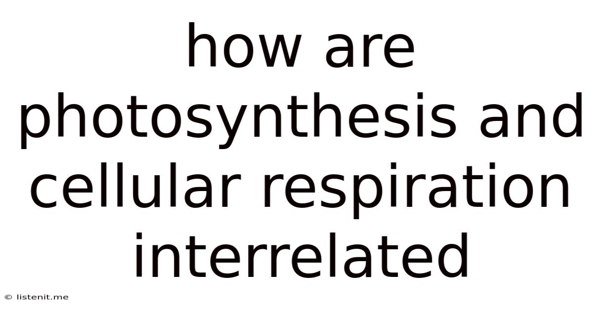 How Are Photosynthesis And Cellular Respiration Interrelated