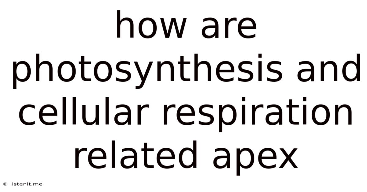 How Are Photosynthesis And Cellular Respiration Related Apex