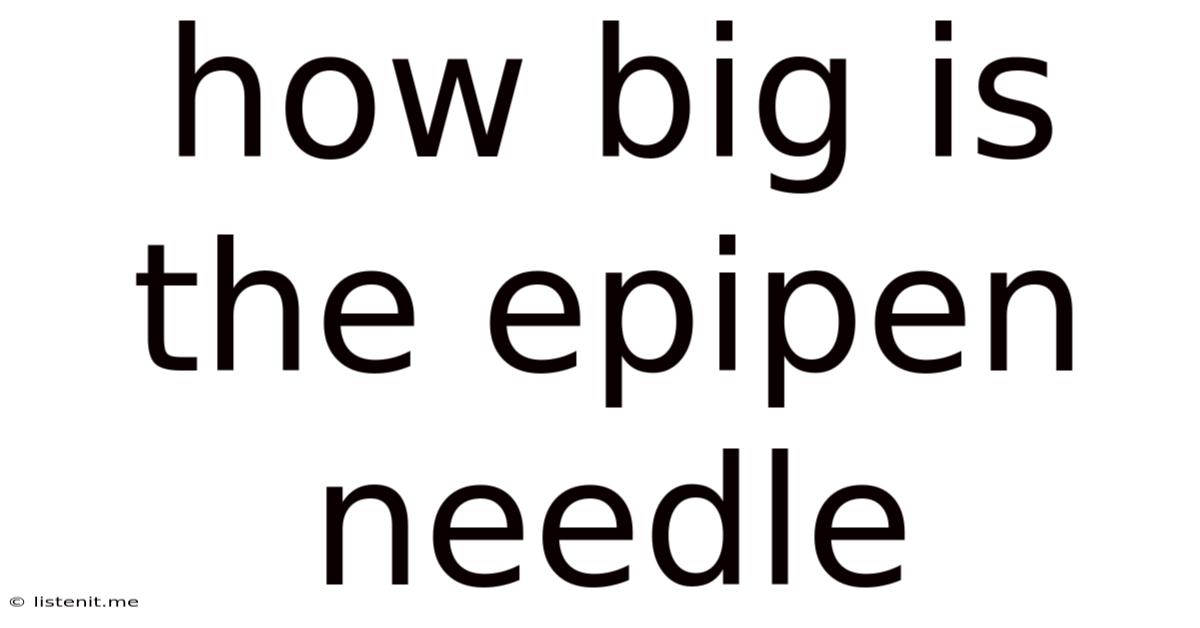 How Big Is The Epipen Needle