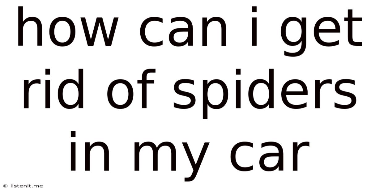 How Can I Get Rid Of Spiders In My Car