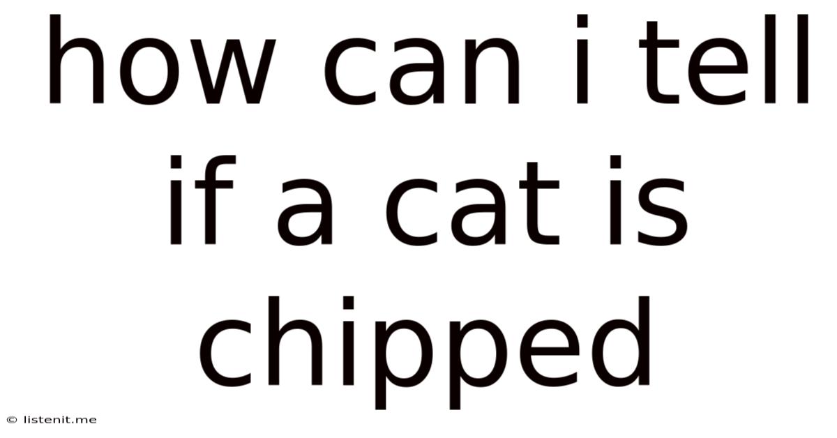 How Can I Tell If A Cat Is Chipped