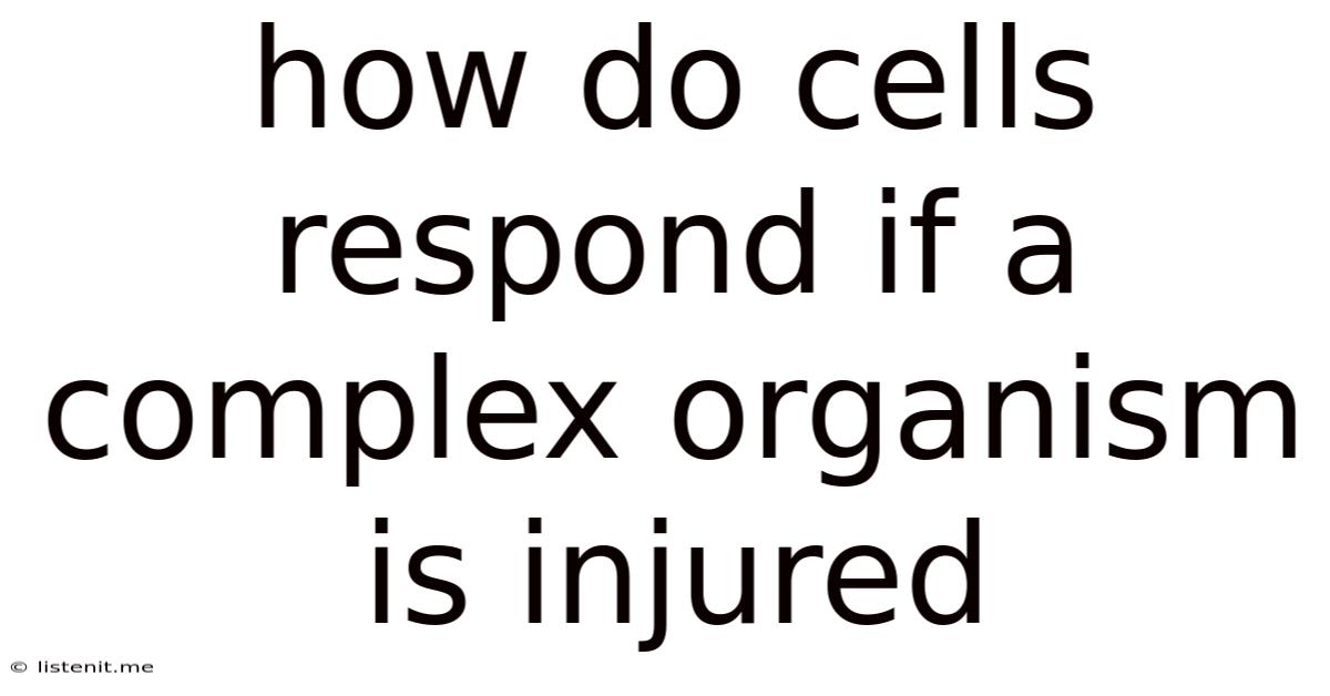 How Do Cells Respond If A Complex Organism Is Injured