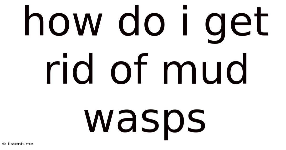 How Do I Get Rid Of Mud Wasps