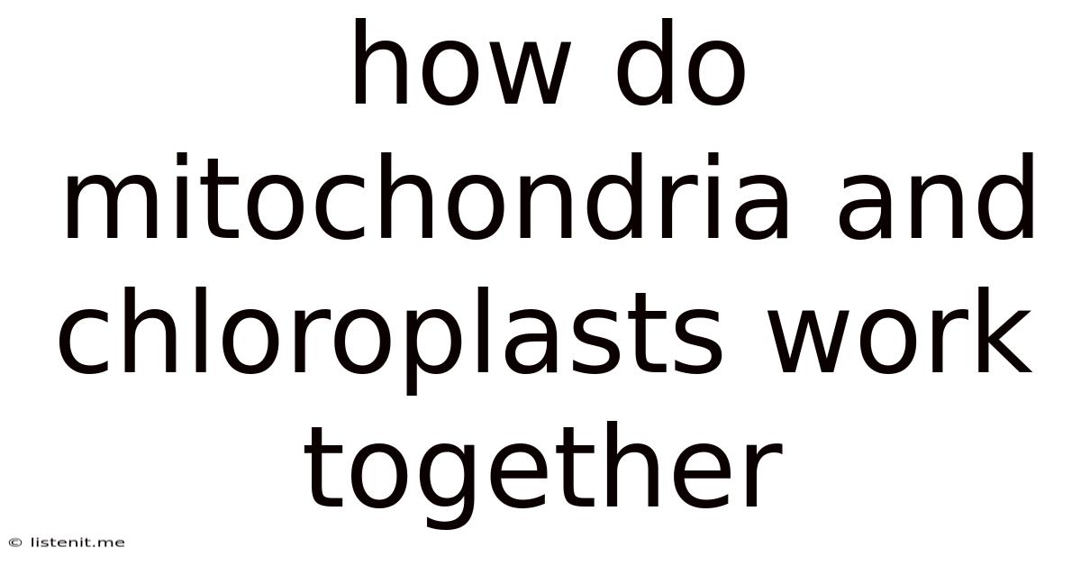 How Do Mitochondria And Chloroplasts Work Together