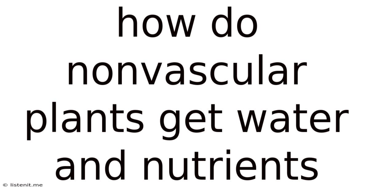 How Do Nonvascular Plants Get Water And Nutrients