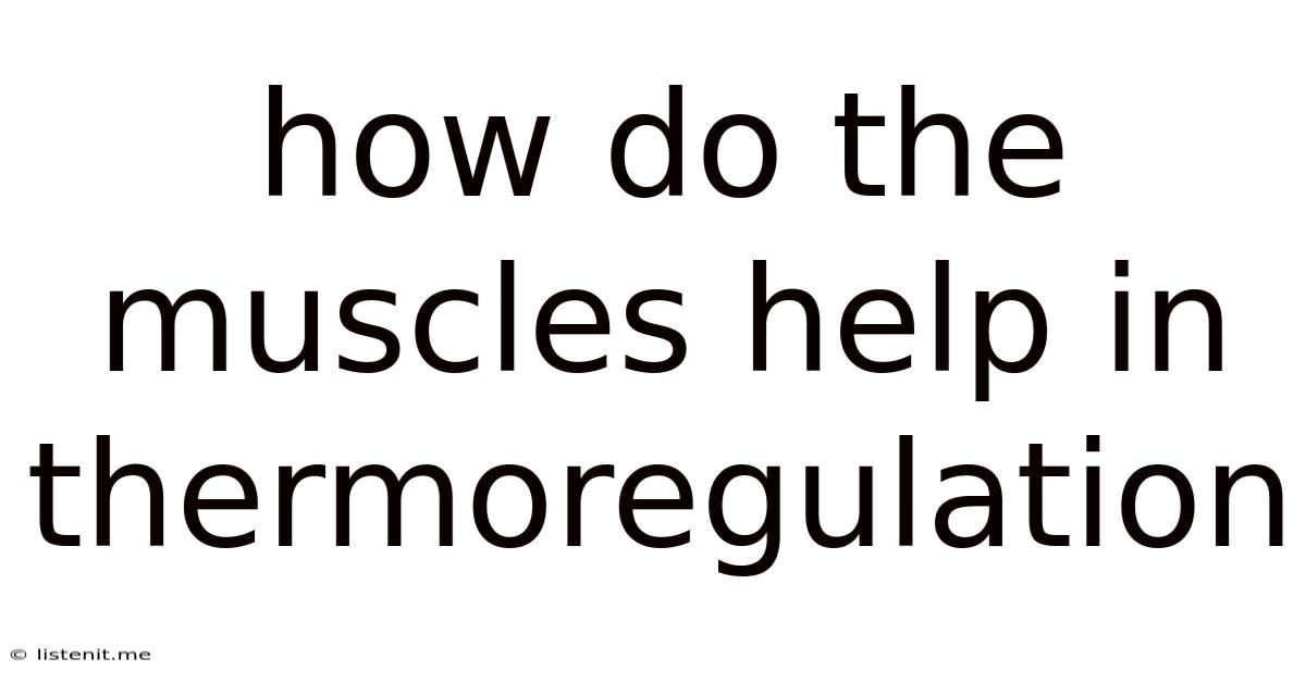 How Do The Muscles Help In Thermoregulation
