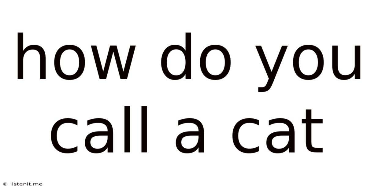 How Do You Call A Cat