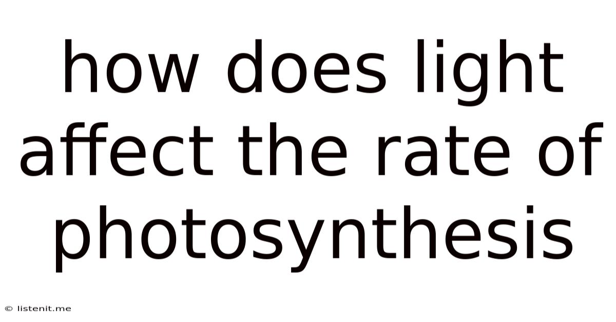 How Does Light Affect The Rate Of Photosynthesis