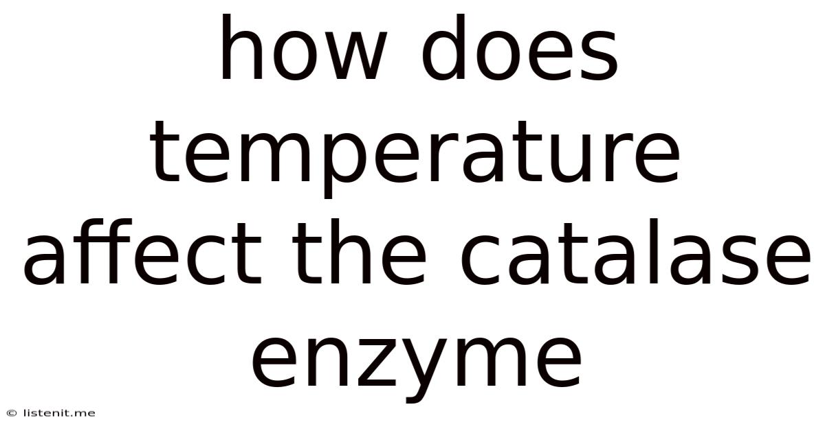 How Does Temperature Affect The Catalase Enzyme