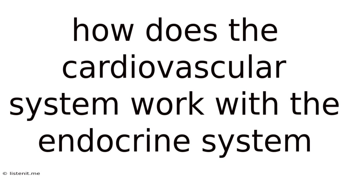 How Does The Cardiovascular System Work With The Endocrine System