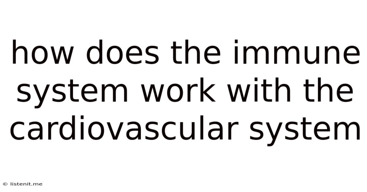 How Does The Immune System Work With The Cardiovascular System