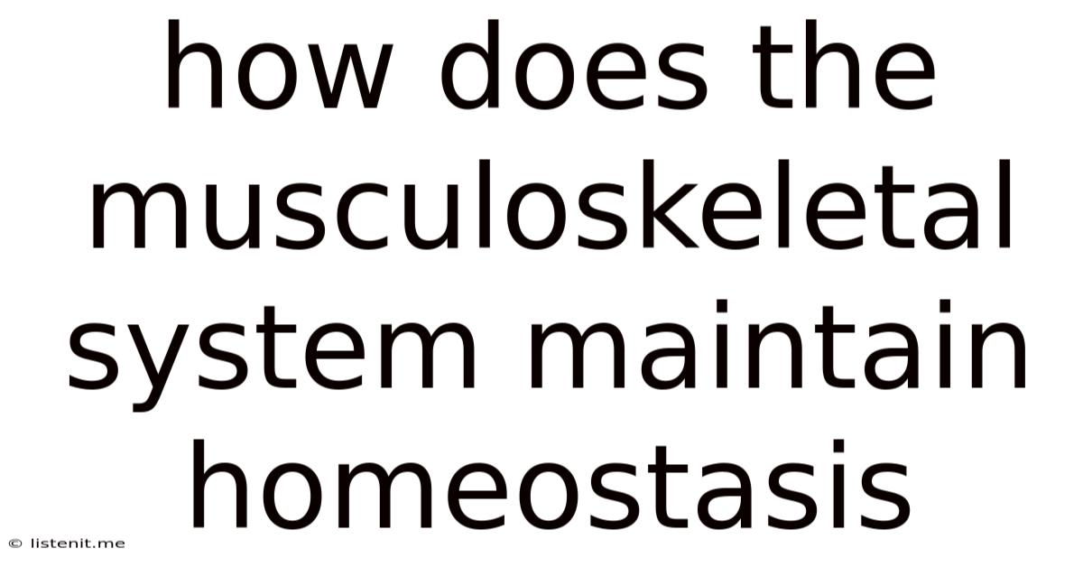 How Does The Musculoskeletal System Maintain Homeostasis