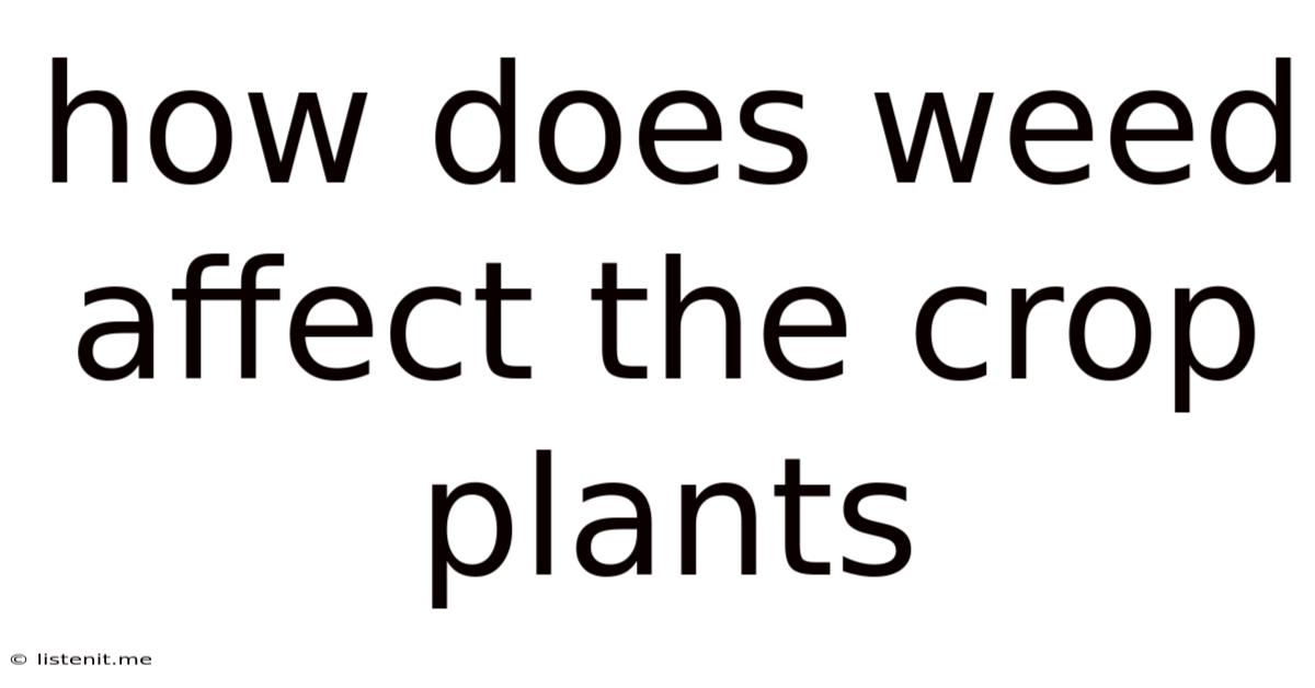 How Does Weed Affect The Crop Plants