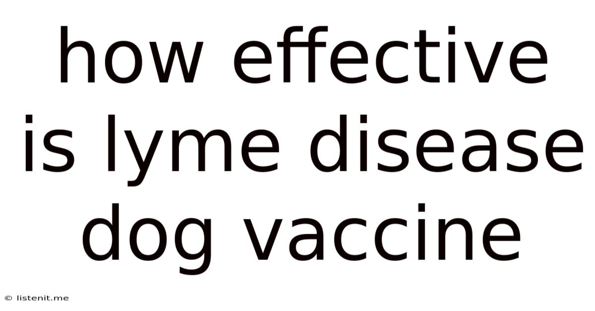 How Effective Is Lyme Disease Dog Vaccine
